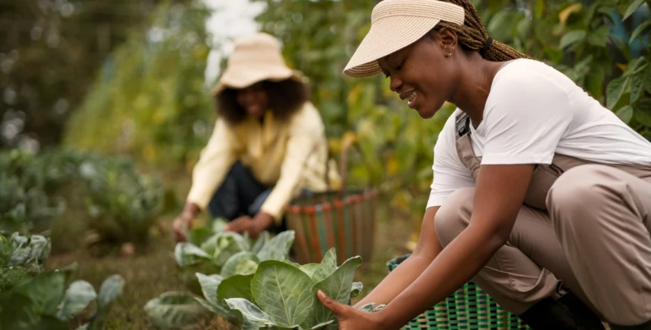We offer guided farm tours and structured poultry training for students, beginners, and commercial farmer, featuring hands-on learning, interactive sessions, and flexible training levels.