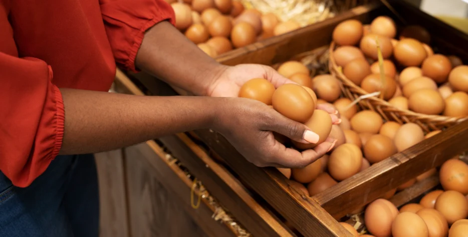 We provide a seamless booking system for eggs, day-old chicks, growers, and point-of-lay birds—complete with health records, breed options, availability tracking, and delivery scheduling.