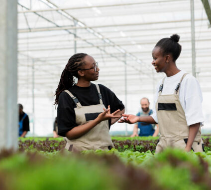 A poultry farm tour is more than a simple visit. It is an experience that opens the mind, inspires curiosity, and helps people understand where their food comes from