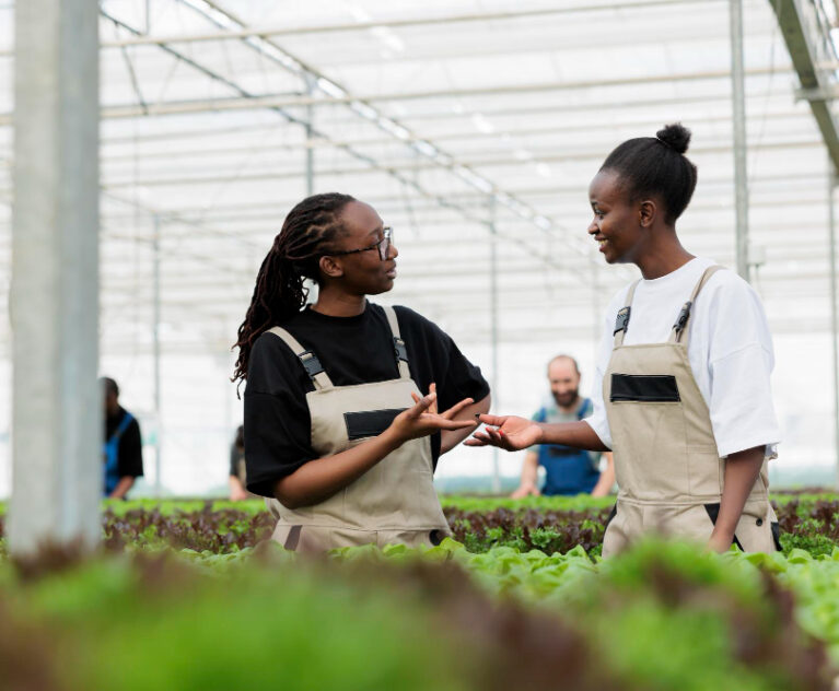 A poultry farm tour is more than a simple visit. It is an experience that opens the mind, inspires curiosity, and helps people understand where their food comes from