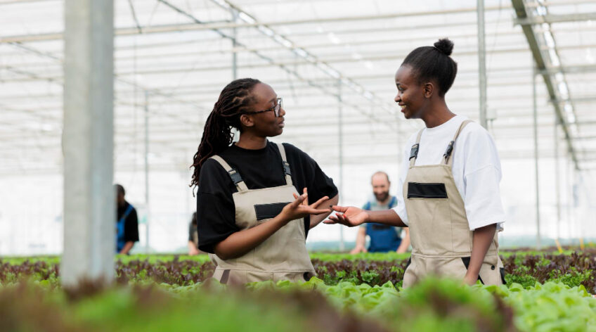 A poultry farm tour is more than a simple visit. It is an experience that opens the mind, inspires curiosity, and helps people understand where their food comes from