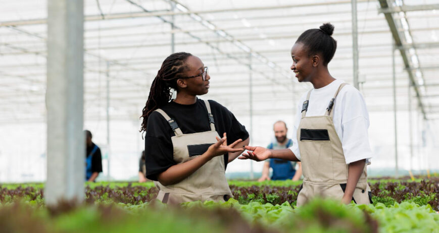 A poultry farm tour is more than a simple visit. It is an experience that opens the mind, inspires curiosity, and helps people understand where their food comes from