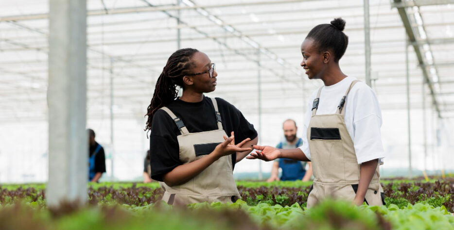 We manage poultry farms for investors with full operations, performance monitoring, reporting, profitability optimization, and transparent, technology-driven farm oversight.