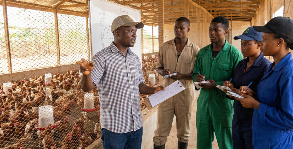 We offer guided farm tours and structured poultry training for students, beginners, and commercial farmer, featuring hands-on learning, interactive sessions, and flexible training levels.
