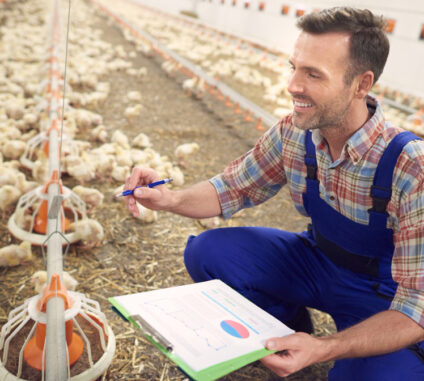 Every poultry investment has a story behind it. Some begin with a passion for agriculture, some with a desire for financial growth, and others with the dream of owning a productive farm that runs smoothly.