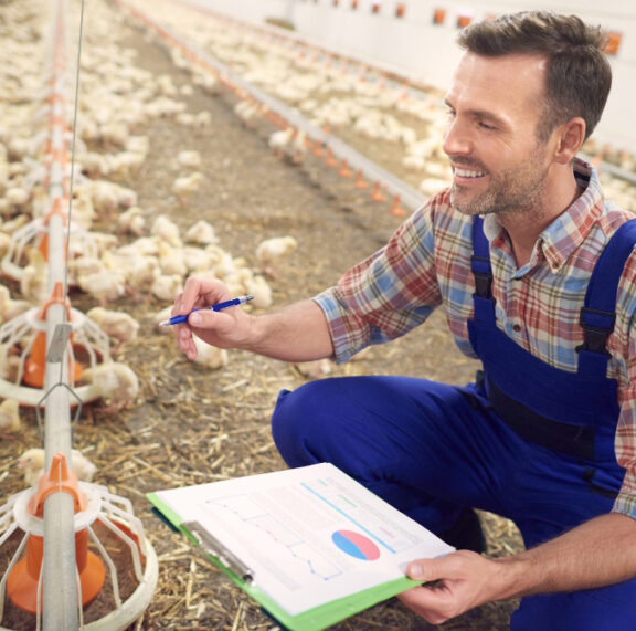 Every poultry investment has a story behind it. Some begin with a passion for agriculture, some with a desire for financial growth, and others with the dream of owning a productive farm that runs smoothly.