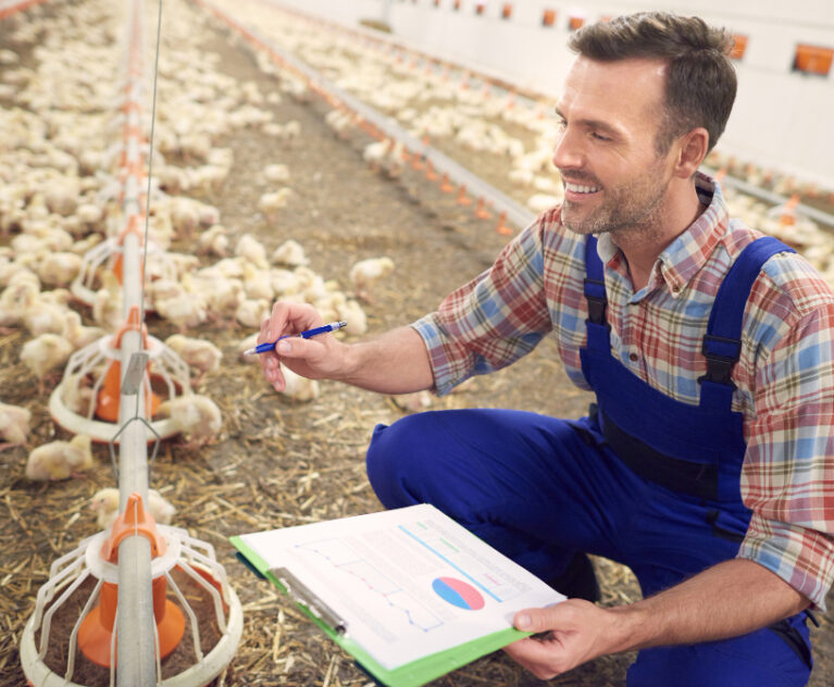 Every poultry investment has a story behind it. Some begin with a passion for agriculture, some with a desire for financial growth, and others with the dream of owning a productive farm that runs smoothly.