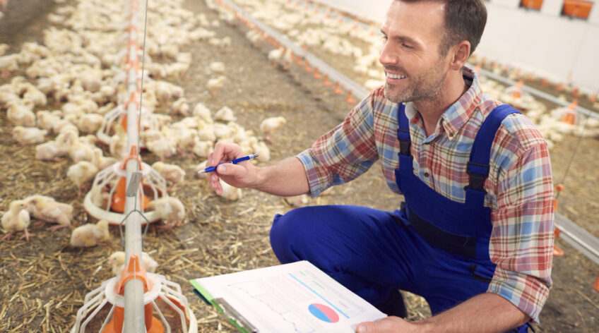 Every poultry investment has a story behind it. Some begin with a passion for agriculture, some with a desire for financial growth, and others with the dream of owning a productive farm that runs smoothly.