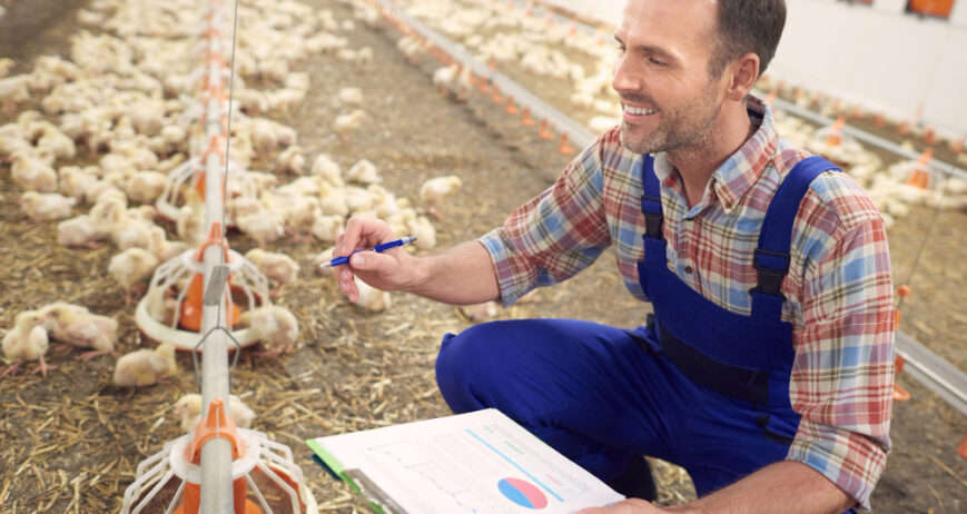 Every poultry investment has a story behind it. Some begin with a passion for agriculture, some with a desire for financial growth, and others with the dream of owning a productive farm that runs smoothly.